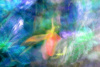 SOLD (Can be ordered) - Falling Petal Abstract DSC_6928  - Blue-Green- Pink -  B - Abstract Photogra